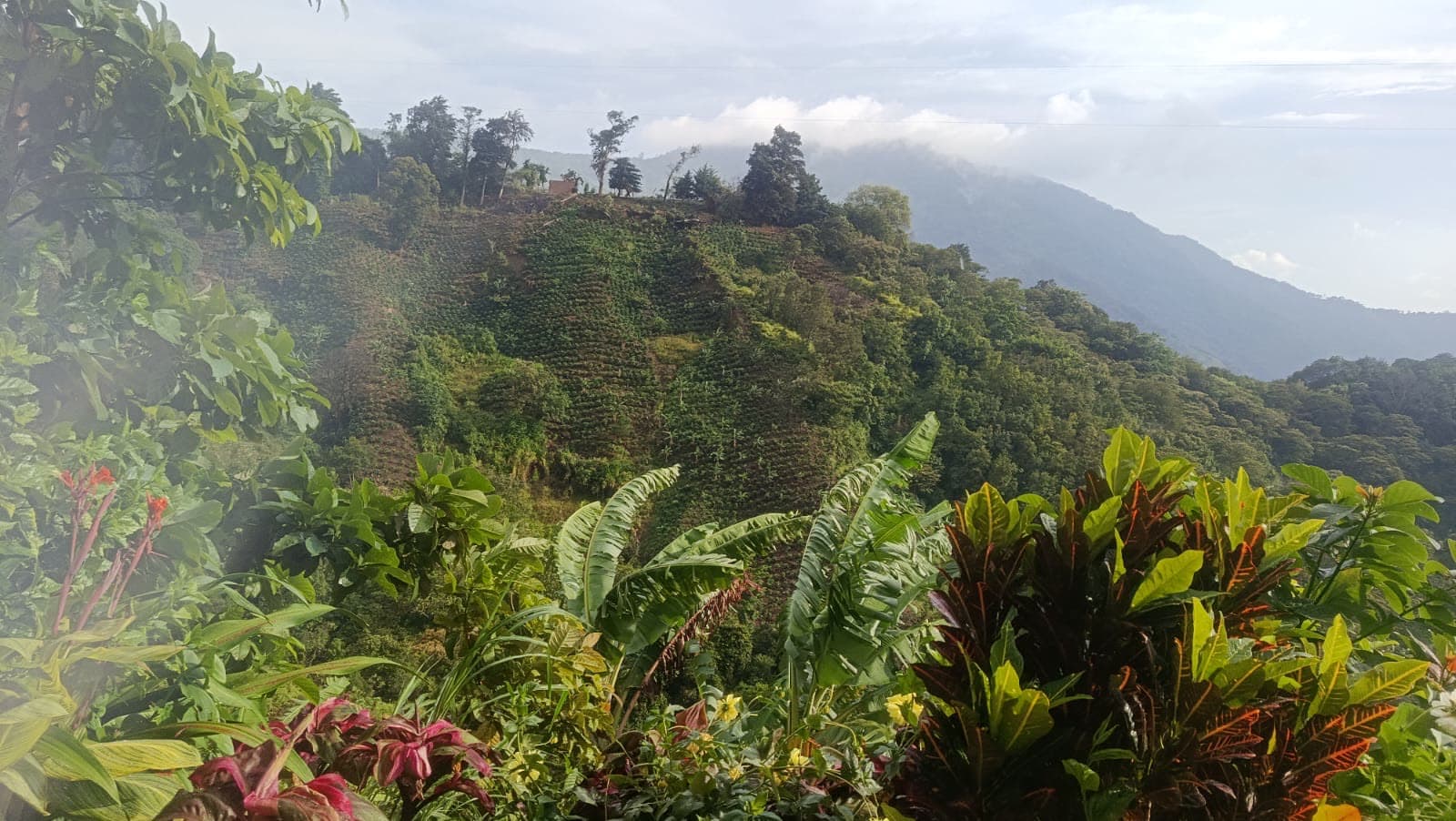 Tours de naturaleza en Santa Marta